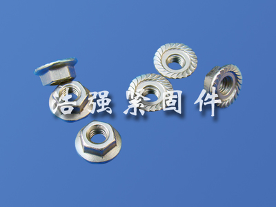【法蘭面螺母】_法蘭面螺母價格_法蘭面螺母廠家-到中華標準件網(wǎng)
