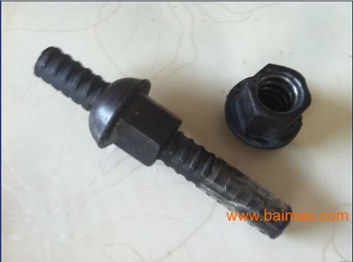 錨桿螺母 錨桿螺母廠家招商 錨桿螺母價格 永年強爍,錨桿螺母 錨桿螺母廠家招商 錨桿螺母價格 永年強爍生產廠家,錨桿螺母 錨桿螺母廠家招商 錨桿螺母價格 永年強爍價格