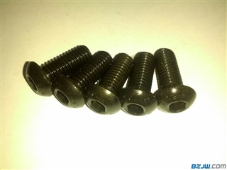 永年高強度半圓頭內(nèi)六角螺栓與10.9級螺母的全面解析